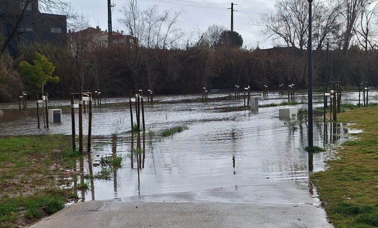 Flecheiro inundado (c/ fotos e vídeo) flecheiro 20250122 101333
