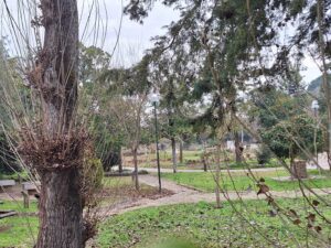 parque caravanismo 20250119 100258