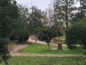 parque caravanismo 20250119 100318