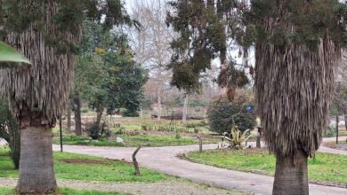 parque caravanismo 20250119 100340