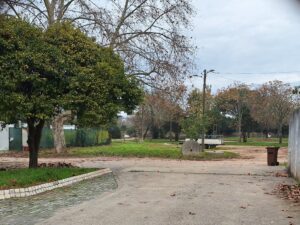 parque caravanismo 20250119 100520