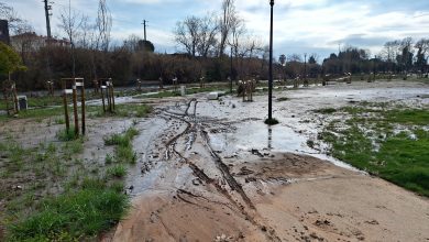 O caso Flecheiro Flecheiro 20250216 095941