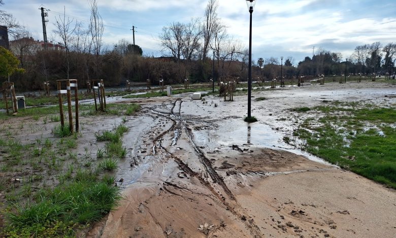 O caso Flecheiro Flecheiro 20250216 095941
