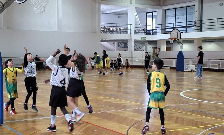 Será que é isto que deve ser o Desporto? SCOCS 3