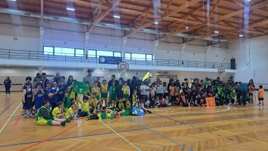 basket 10213025636472306 4549349513651191818 n