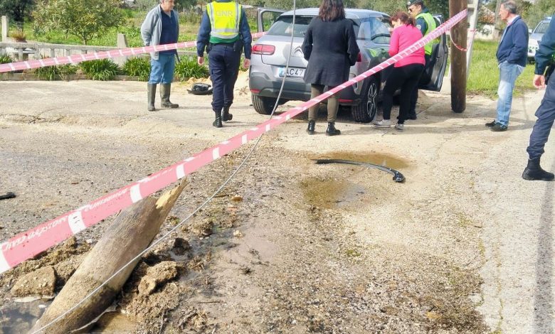 Carro despista-se e arranca poste despiste IMG 20250210 WA0006