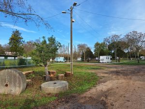 parque campismo caravanismo 20250204 094120