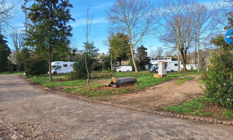 parque campismo caravanismo 20250204 094240