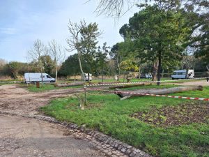 parque campismo caravanismo 20250204 094252