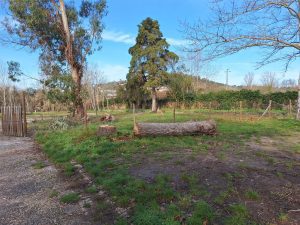 parque campismo caravanismo 20250204 094406