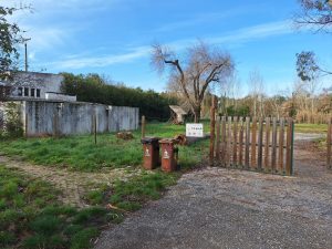 parque campismo caravanismo 20250204 094425