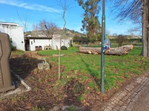 parque campismo caravanismo 20250204 094456