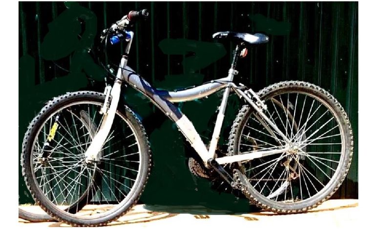 Apelo: bicicleta roubada apelo bicicleta 1
