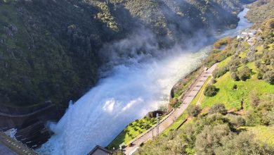 barragem bode descargas 20250315 094947