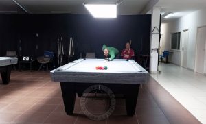 bilhar 4