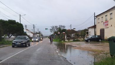 carvalhos de figueiredo 20250310 101759