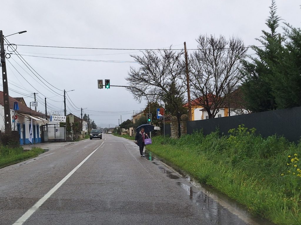 carvalhos de figueiredo 20250310 101807