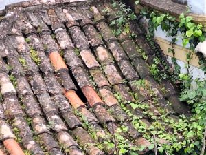 ermida capela de S. Gregorio 20250325 143733
