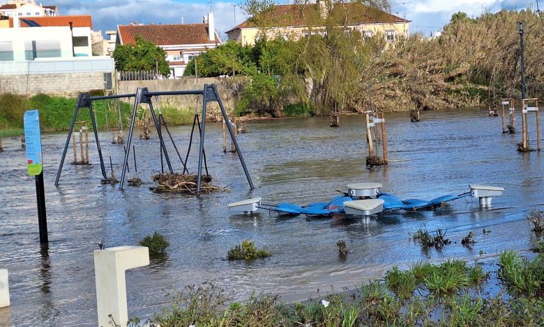 O Flecheiro da discórdia flecheiro 20250323 170830
