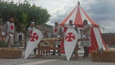 templar 955752548 6710805559752759473 n