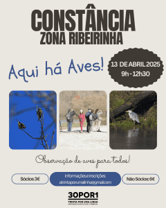 13 4 AquihaAves ConstanciaAbr2025