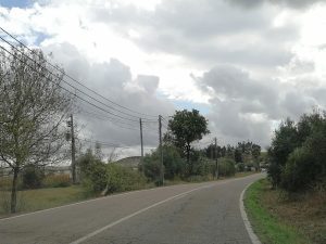 IMG 20241007 142209
