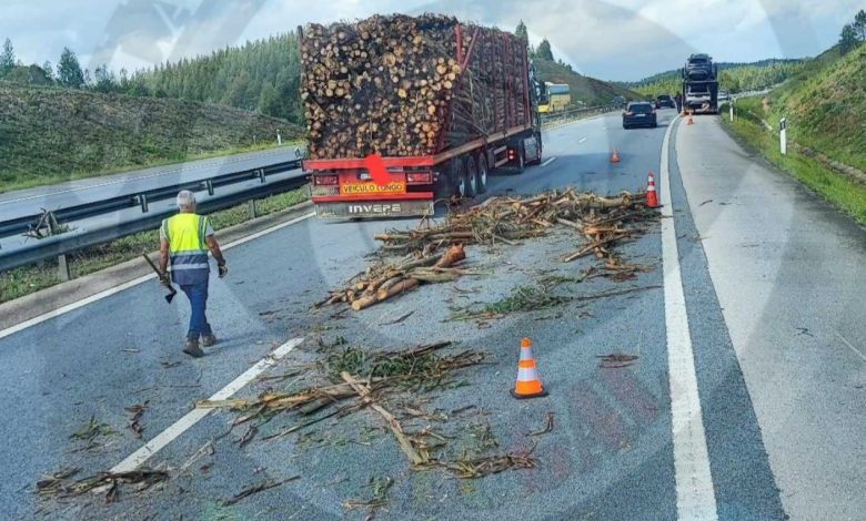Camião espalha troncos de madeira na A23 a23 812073878353 3133527799389831324 n