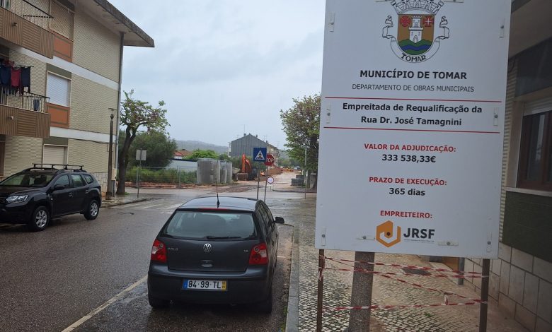 Uma análise ao projeto da rua Dr. José Tamagnini: O preço da falta de escrutínio público arvores olaias 20250418 101040