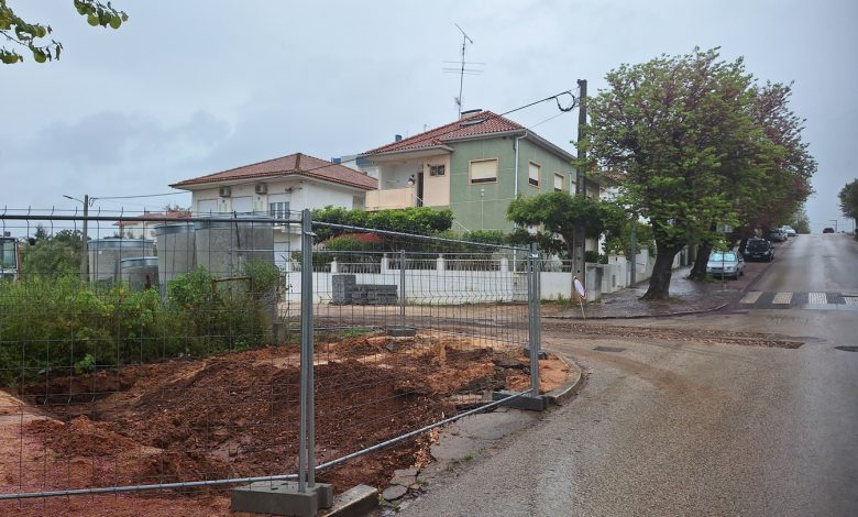 Câmara não cumpre a lei na obra da rua José Tamagnini e av. Egas Moniz arvores olaias 20250418 101127