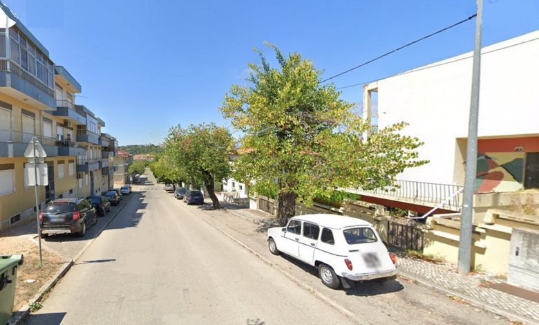 arvores rua egas moniz
