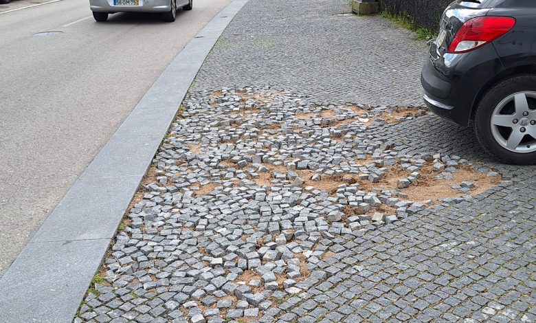 Perigo nos passeios da estrada da Serra calcada 20250413 103449