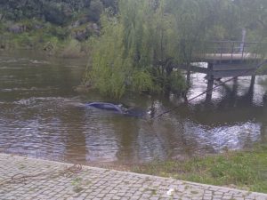 carro tejo IMG 20250422 WA0015