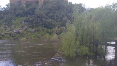 carro tejo IMG 20250422 WA0016