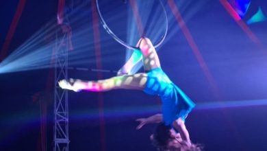 circo 67585496998695 4002533429768825193 n