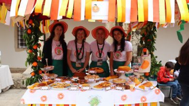 feira laranja 16 1251058613689590 3448707693937847236 n