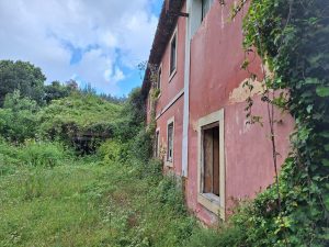quinta do vale pereiro 20250419 102629