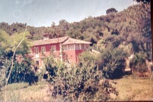 quinta do vale pereiro 76462765450 1927911502516709947 n