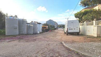rua jose tamagnini 20250404 1930260