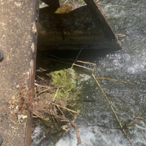 acude IMG 20250514 WA0003