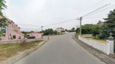 encosta das maias