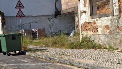 ervas 20250526 091922