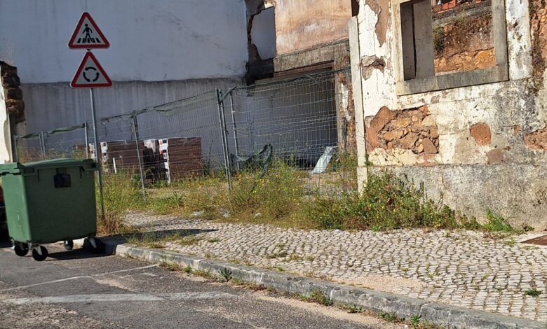 Ervas invadem passeio da av. António de Fonseca Simões ervas 20250526 091922