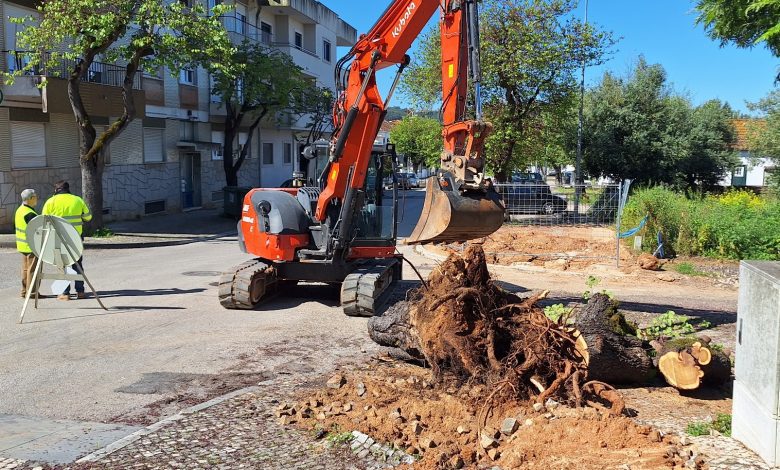 Resíduos verdes, decisões cinzentas: Município de Tomar deixa a sustentabilidade para trás olaias 20250424 102658