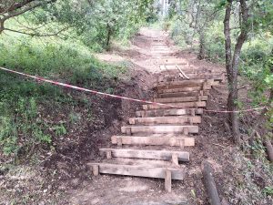 pinhal santa barbara 20250501 103316