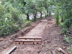 pinhal santa barbara 20250501 103350