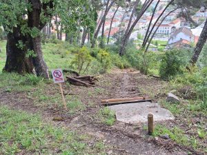 pinhal santa barbara 20250501 103528