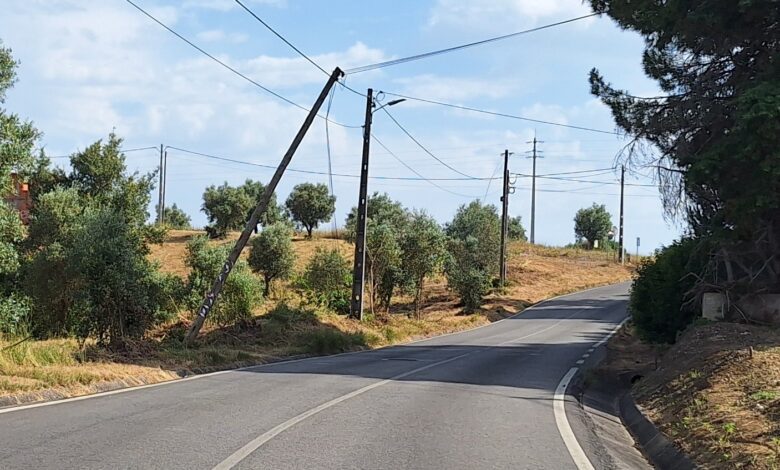 Perigo na estrada da Murteira 20250619 172809