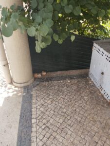 IMG 20250610 WA0013
