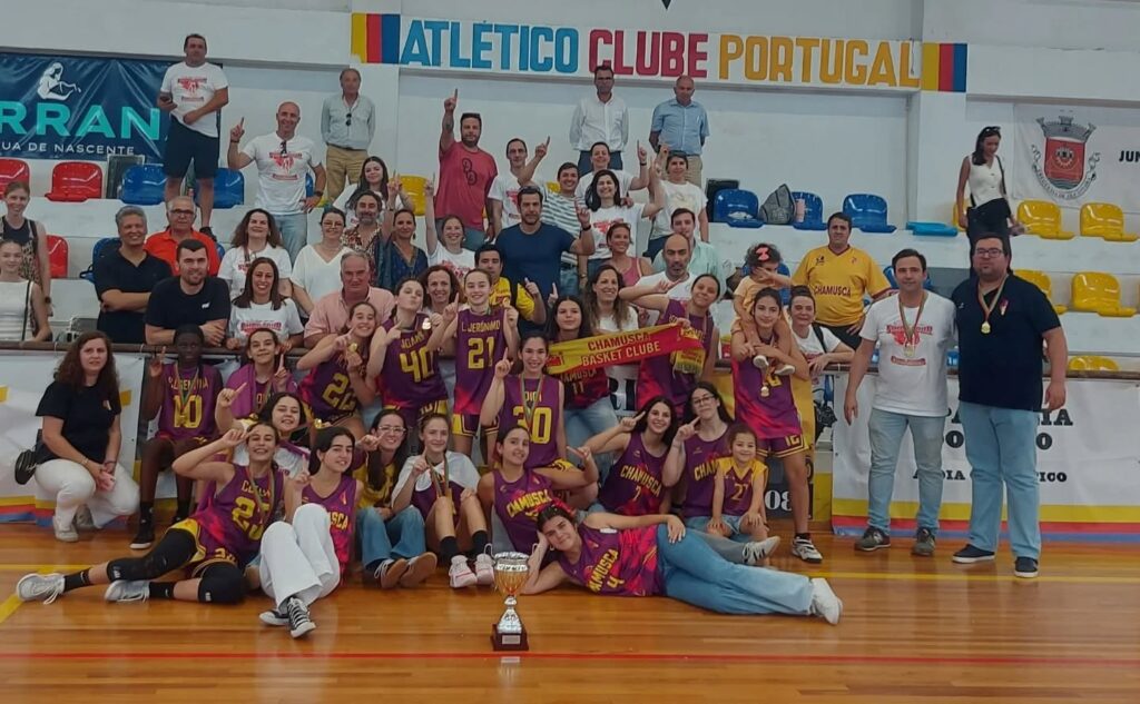 basket 1404955952 3779846972758251 n