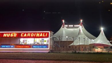 circo 66114444344 9033204586751974145 n